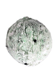 Mint Chocolate Bubble Scoop